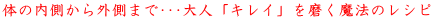 ̂̓O܂ťluLCv𖁂@̃Vs 