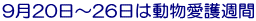 920`26͓T