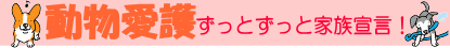 ƂƉƑ錾I