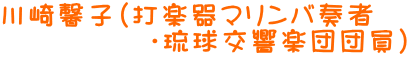 Ap}_X@ubNVA^[ 낪݃y[vT[g